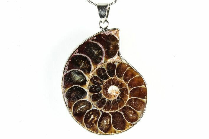 Fossil Ammonite Pendant - Million Years Old #306513